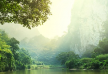绵阳师范自考专业的自考可以专本连读嘛-绵阳师范学院自考网