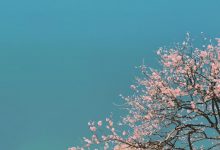 自考报名,教你如何看懂自考复习大纲-绵阳师范学院自考网
